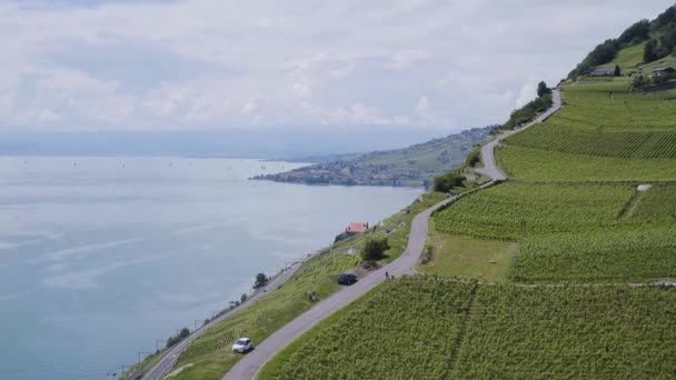 Luftaufnahme Des Weinbergs Von Lavaux Der Schweiz Unesco Weltkulturerbe Aufgenommen — Stockvideo