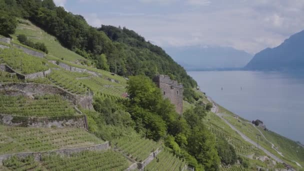 Aerial Shot Medieval Tower Lavaux Vineyard Switzerland Helység Neve Tour — Stock videók