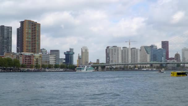 Märklig Amfibiebuss Floden Vid Rotterdams Hamn — Stockvideo