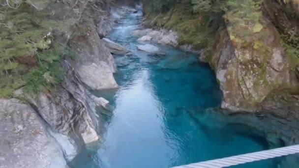 Bella Vista Ponte Sospeso Acqua Cristallina Fiume Nuova Zelanda — Video Stock