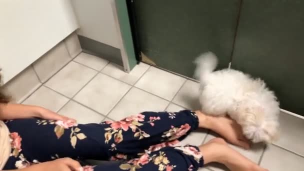 Menina Sentada Chão Brincando Com Cachorro — Vídeo de Stock