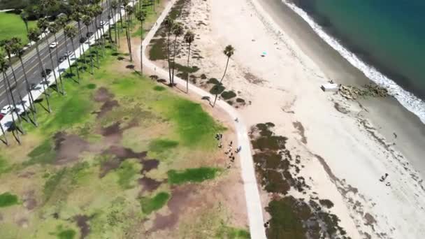 Flygdrönare Skjuten Över Sandstranden Palmer Och Det Blå Stilla Havet — Stockvideo