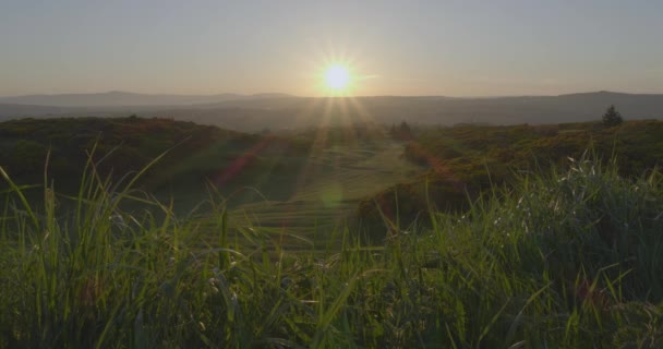 Zon Schijnt Het Platteland Het Gouden Uur — Stockvideo