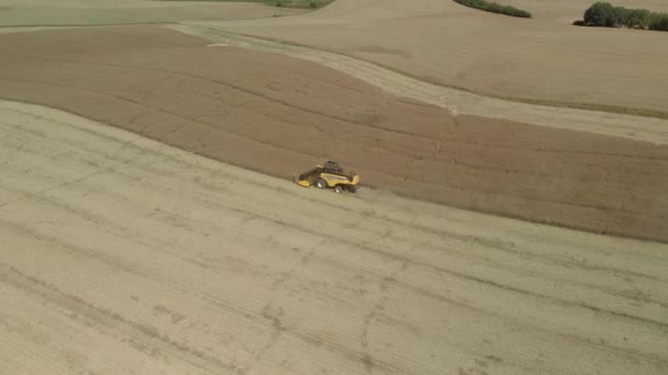 Beautiful Aerial Footage Combine Harvester Harvesting Wheat Farm Field Europe — Stock Video