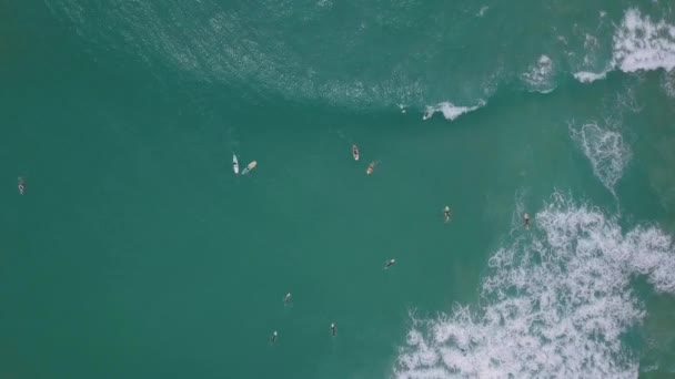 Dalgalar Üzerinde Sörfçülerin Hava Görüntüsü — Stok video