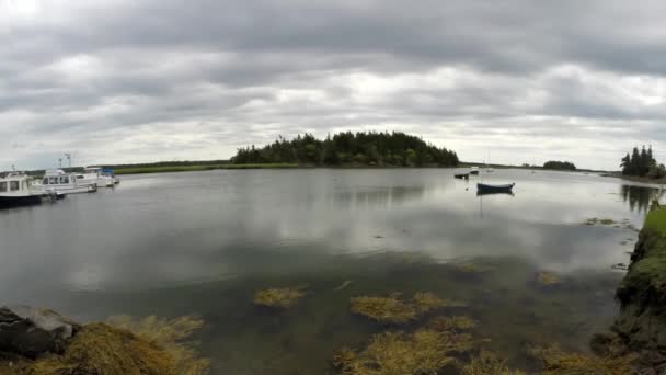 Boats Secluded Marina — Stock Video