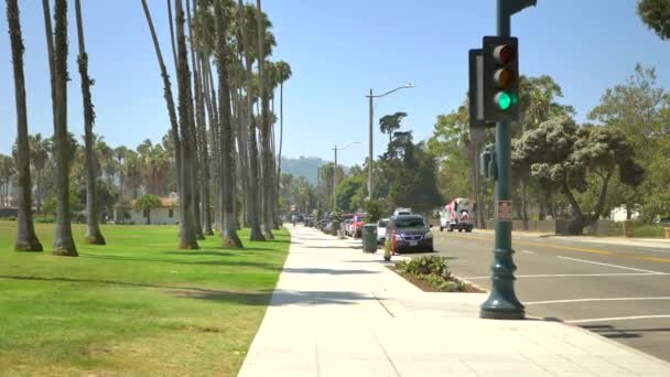 カリフォルニア州サンタバーバラのヤシの木がある歩道の芝生公園を歩く — ストック動画