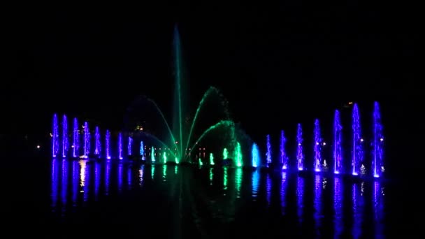 Fuentes Agua Colores Sobre Lago Durante Festival Luz — Vídeo de stock