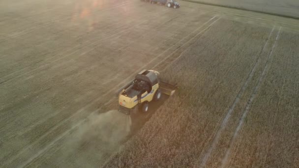 Aerial Footage Combine Harvester Harvesting Wheat Farm Field Europe — Stock Video