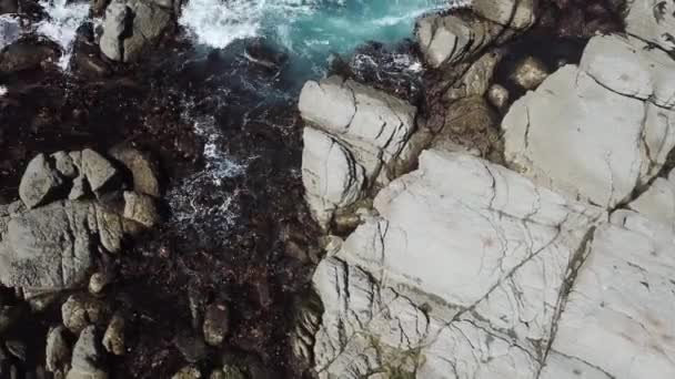 Drohne Zeigt Wellen Die Einem Schönen Sommertag Der Küste Gegen — Stockvideo