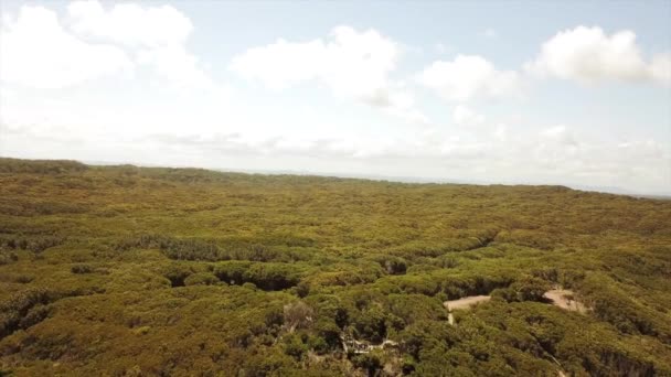 Drone Che Vola Sopra Gli Alberi Una Pista Avanti — Video Stock