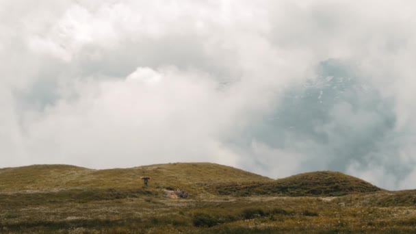 Широкий Снимок Горного Фермера Несущего Лес Красивом Швейцарском Пейзаже — стоковое видео