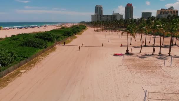 Luftaufnahmen Von Menschen Die Strand Spazieren — Stockvideo
