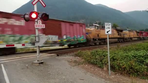 Een Rijdende Trein Kruist Een Kruising Met Een Luid Krijsend — Stockvideo