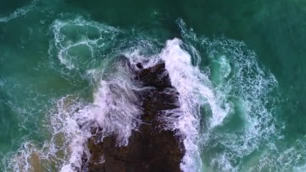 Океанські Птахи Розбилися Скелі — стокове відео