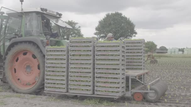 トラクターの後ろにいる間に作物を植える人々の合計ショット — ストック動画