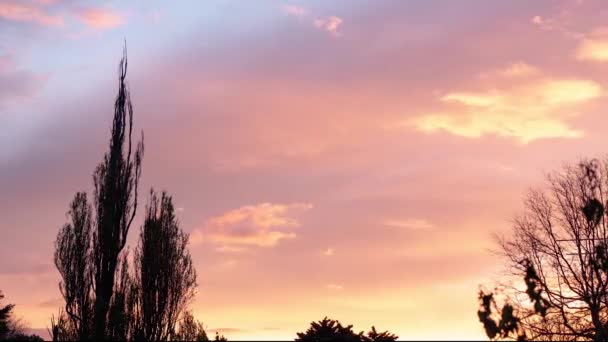 Zeitraffer Bei Sonnenuntergang Mit Einigen Bäumen Vordergrund Und Einigen Vorbeifliegenden — Stockvideo