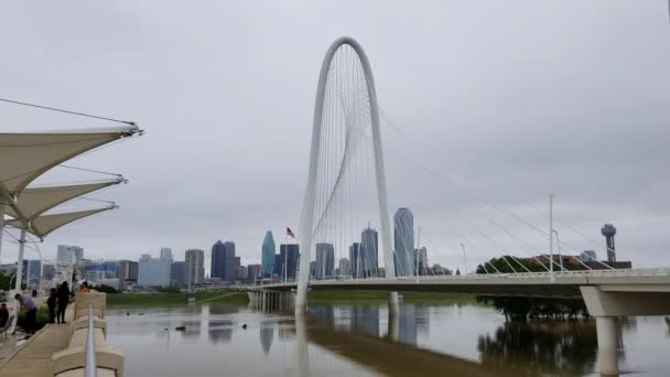 Dallas Flood View Margaret Hunt Hill Bridge Dallas Skyline Тлі — стокове відео