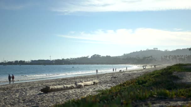 美国加利福尼亚州圣巴巴拉市 夕阳西下 人们在沙滩上散步时 拍下了一张带绿色肉质植物的沙滩全景照片 这模糊了人们在海滩上散步的轮廓 — 图库视频影像