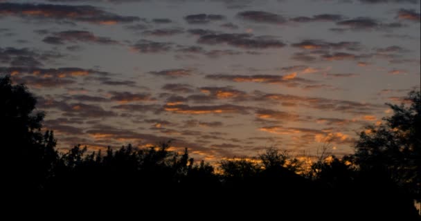 Vroege Ochtend Zonsopgang Uitzicht — Stockvideo