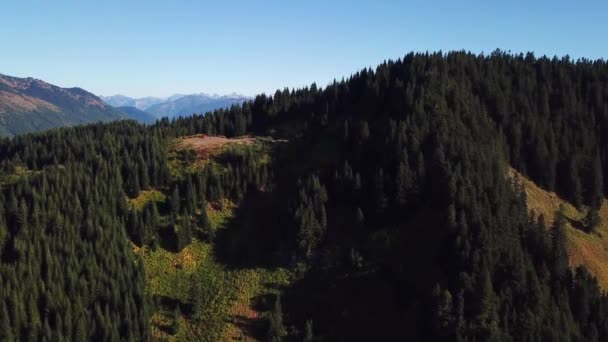 Närmar Sig Drönarskott Avslöjar Bergsutsikt Vildmarksskogen Täckt Med Träd — Stockvideo