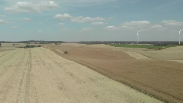 Bellissimo Filmato Aereo Una Mietitrice Che Raccoglie Grano Campo Agricolo — Video Stock