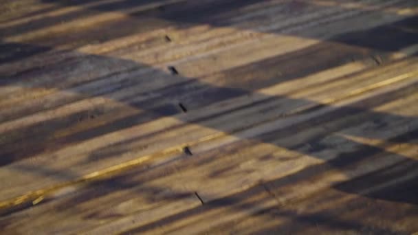 在一个阳光明媚的下午 慢动作潘和一个穿着蓝色网球鞋的人走过一座木头桥 大桥座落在俄克拉荷马州塔尔萨集合地点 — 图库视频影像