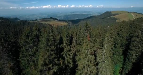 Foto Aérea Dron Hermoso Paisaje Con Bosque Abeto — Vídeos de Stock