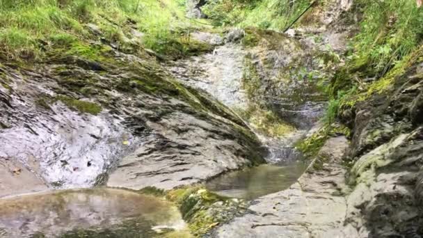 Winziger Fluss Auf Dem Berg Den Alpen 2200M Hoch Und — Stockvideo