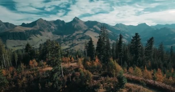 Aerial Paralaksy Strzał Drzew Pięknym Krajobrazie Górami — Wideo stockowe