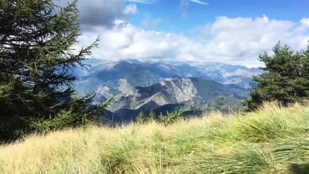 Una Montagna Nelle Alpi 2200M Altezza Con Gras Verde Alberi — Video Stock