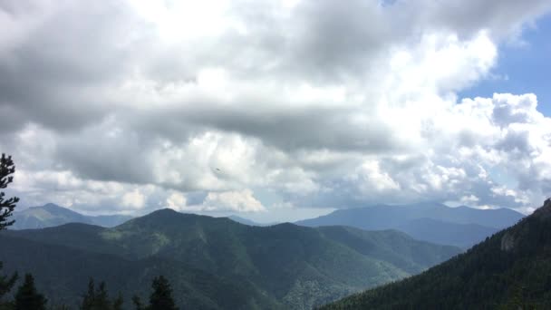 Una Montaña Los Alpes 2200M Altura Con Verdes Pastos Árboles — Vídeos de Stock