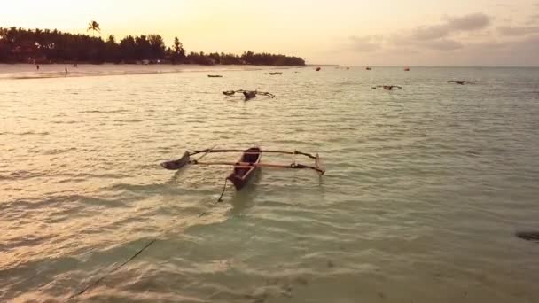 Barco Pesca Zanzíbar Dow Flota Agua Atardecer Con Playa Fondo — Vídeo de stock