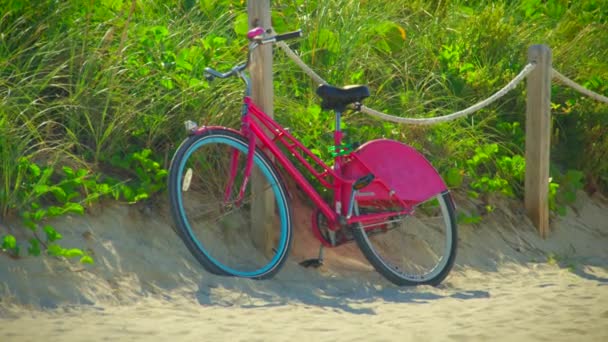 晴れた日にビーチでのサイクリング — ストック動画