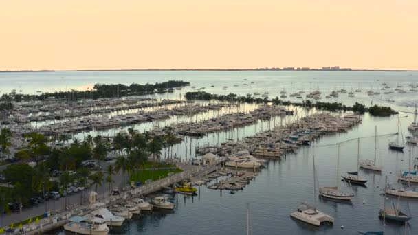 Aerial View Boat Marina — Stock Video