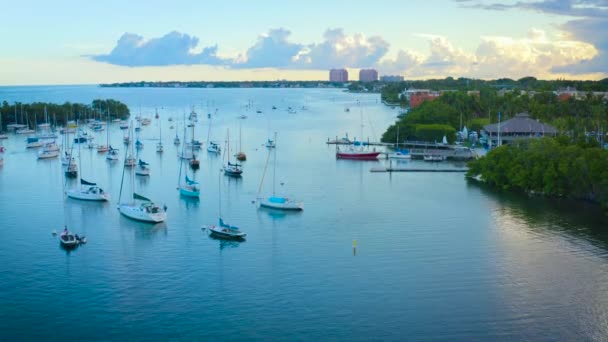Marina Zicht Van Miami Bay — Stockvideo