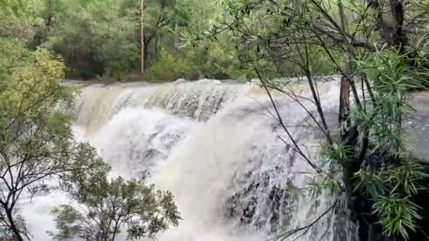 Kleine Waterval Overspoeld Met Overstromingswater Van Recente Regen Australië — Stockvideo