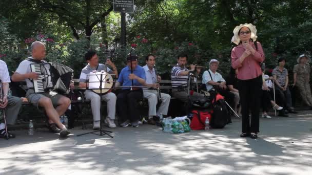 Band Playing Traditional Chinese Music Columbus Park Manhattan New York — стокове відео