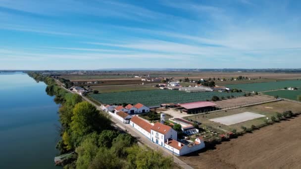 Aerial Drone View Picadeiro Quinta Marchanta Equestrain Tourism Vegetables Farm — Vídeos de Stock