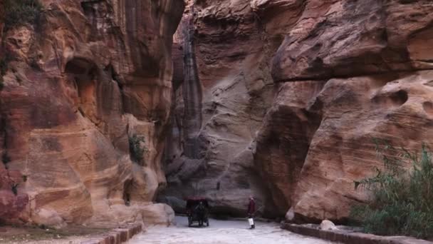 Traditional Horse Drawn Carriages Driving Fast Siq Canyon Ancient Historical — Stock Video