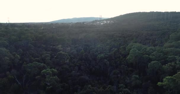 Smooth Rise Forest Area Showing Industrial Power Lines Revealing Built — Vídeo de stock