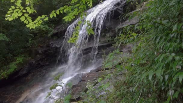 Milda Vattenfall North Carolina Appalachian Bergen Grön Sommardag — Stockvideo