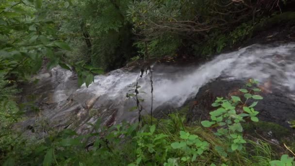 Sanfter Wasserfall Den Appalachen Von North Carolina Einem Grünen Sommertag — Stockvideo