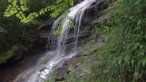 Gentle Waterfall North Carolina Appalachian Mountains Green Summer Day — Stock video