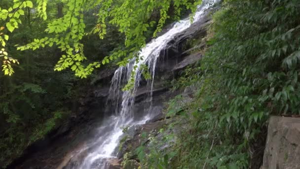 Gentle Waterfall North Carolina Appalachian Mountains Green Summer Day — Video Stock