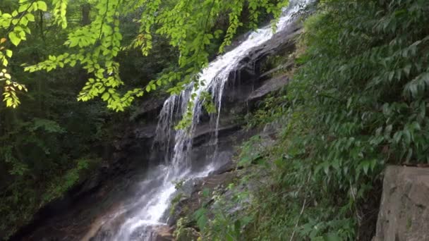 Gentle Waterfall North Carolina Appalachian Mountains Green Summer Day — Vídeos de Stock