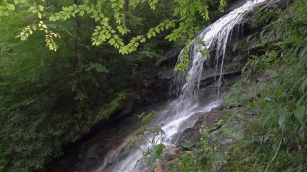 Gentle Waterfall North Carolina Appalachian Mountains Green Summer Day — Wideo stockowe