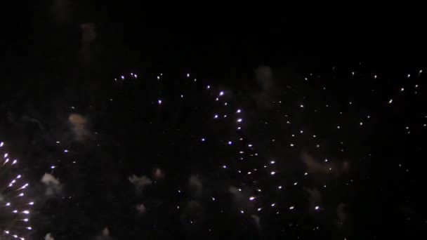 Schöne Bunte Echte Weiter Feuerwerk Feier Der Silvesternacht Mit Einer — Stockvideo