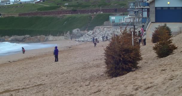 与背景中的人一起 松树树生长在仙境海滩的沙丘中 宽射门 — 图库视频影像