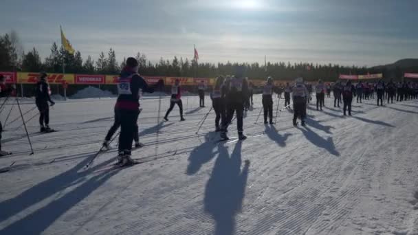 Female Skiers Starting Slow Tjejvasan Oxberg Mpra Sweden — Vídeo de stock